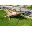 Double Classic Hammock with Stand-1775678166-1834304934-1834304943