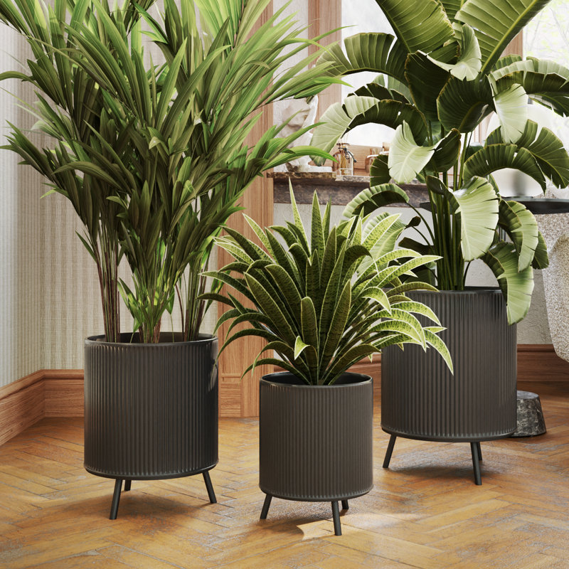 Everett Nyra Pot Planter, Black