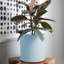 Pot à fleurs rond intérieur / extérieur en plastique moderne avec soucoupe-1933787764-1933896408