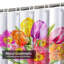 Magnifique tulipe printanière-271606671