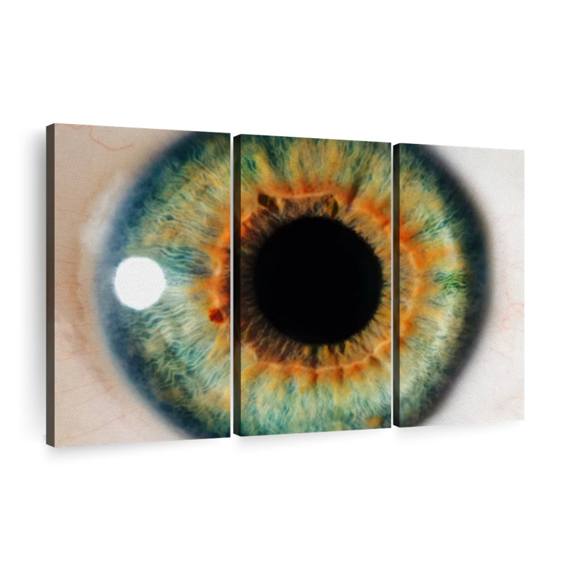 " Green Eye " 3 - Pieces, 32" H x 50" W x 1.25" D