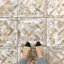 Kings Forest Lattice 17-5 / 8 po X 17 5/8 po Carreau de céramique pour plancher et mur