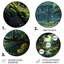 «Forest Enchanted Forest Pastoral I», art rond en métal-109733550