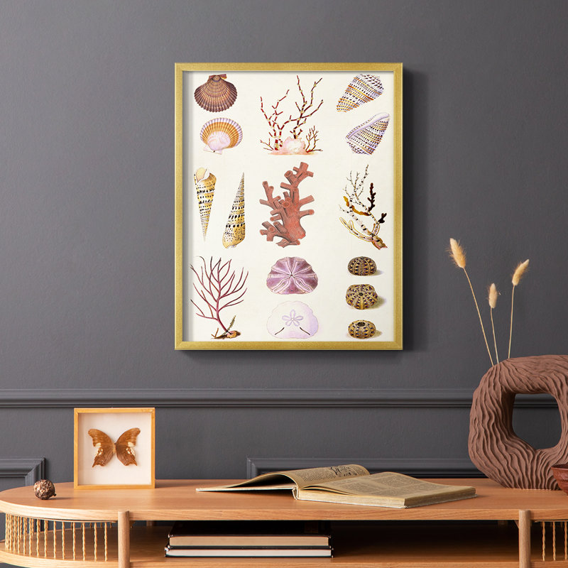 Coral & Shell Collage II, reproduction encadrée - bois massif, H 20 po x l 16 po