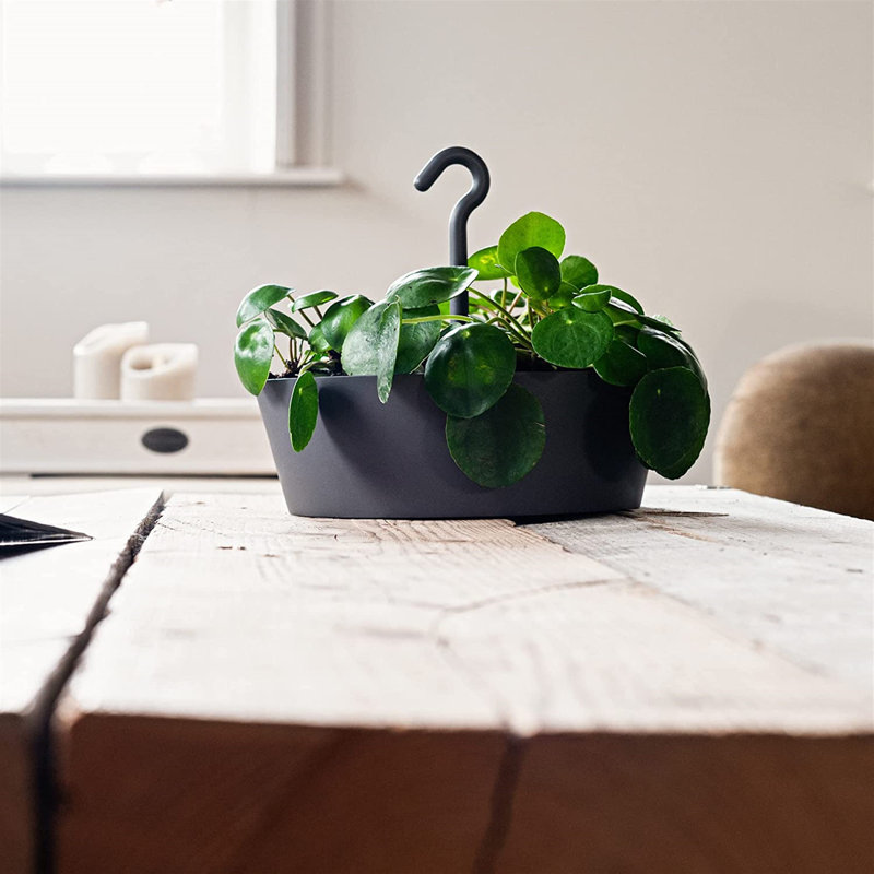 Pot Planter, 4" L x 12" W x 12" D, White
