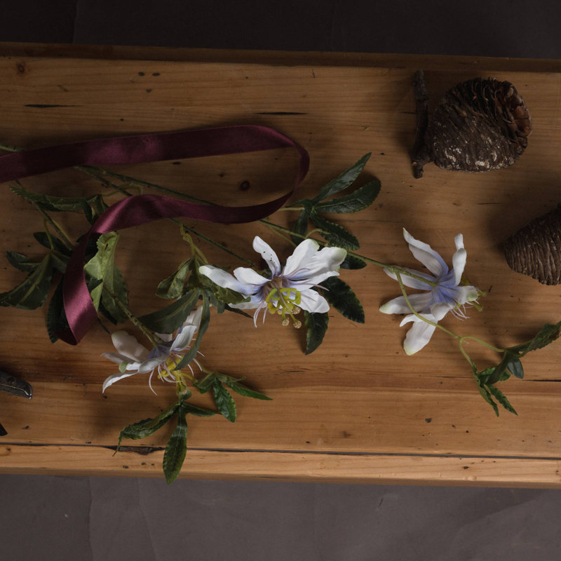 Anastasija Arrangement