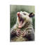 Impression sur toile Whimsical Screaming Opossum - Urban Studio-1934725002