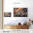 Hair Barber Instruments-311765251