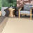 Burkley Monochrome Bordered Beige Indoor/Outdoor Rug-1212695270