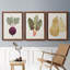 Toile encadrée organique Premium Veg IX - prête à être accrochée-1181330301-1181330299