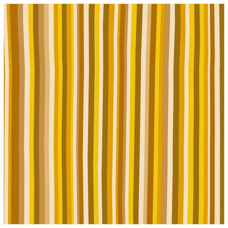 Coussin décoratif à rayures verticales, motif à double face, 20 po x 20 po