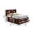 Gurtrude Bookcase Bed-730865059-730865058