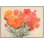 Big Bloom I Print by David Erickson