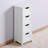 Arafa Accent Chest