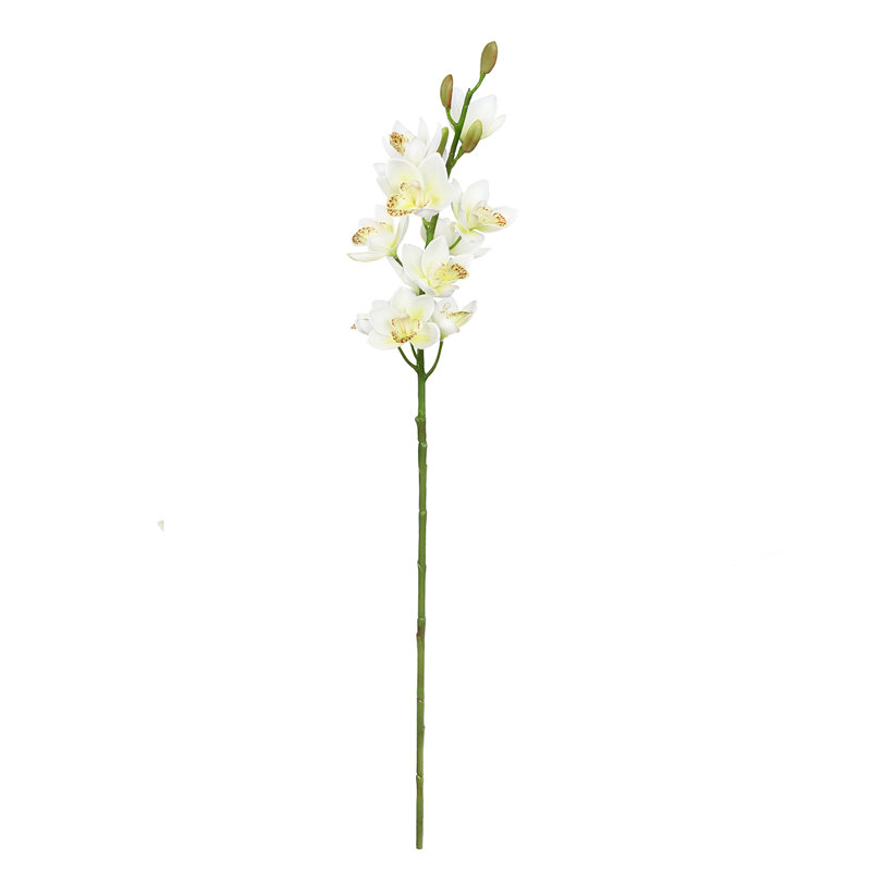 Orchid Arrangement, Cream White
