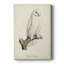 French Owls IV - galerie sur mesure-143586298