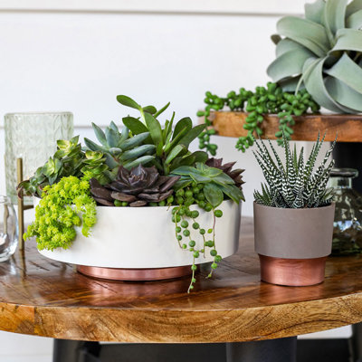 Kanira Pot Planter