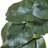 Faux Magnolia Plastic 24'' Wreath