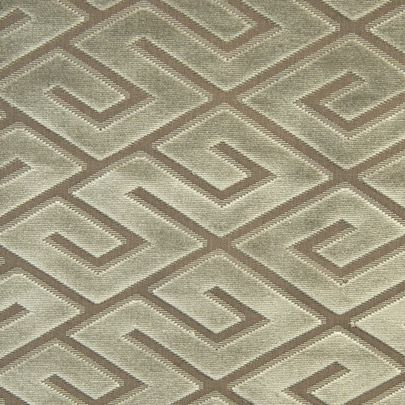 Tissu d'invité, Colombe