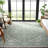 Mirla Performance Machine Washable Oriental Indoor/Outdoor Area Rug-507509720