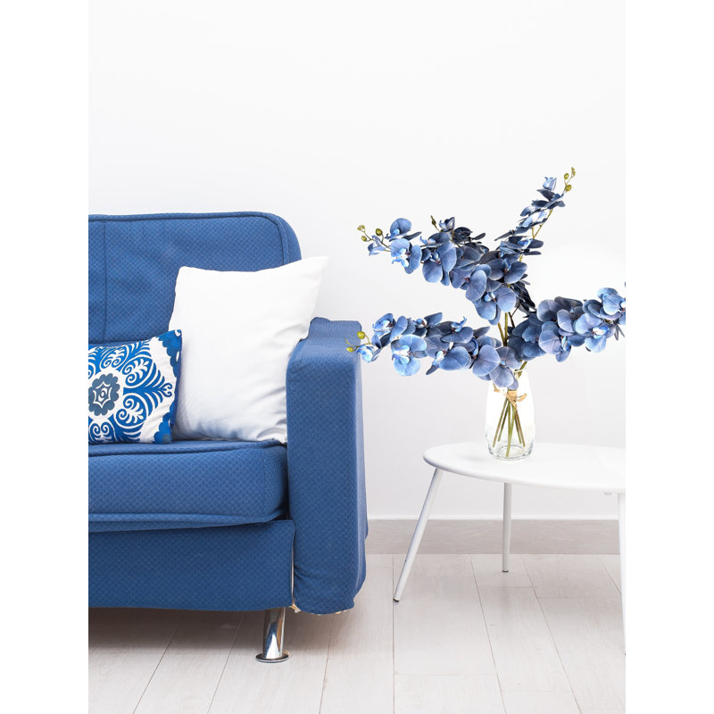 Orchidée phalaenopsis, Bleu foncé minuit 