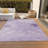 Machine Washable Indoor/Outdoor Xhevrie Lilac Rug-16805430