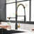 FLG Pull Down Kitchen Faucet-86678759