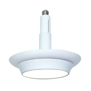 10 W (équivalent à 75 W), DEL, ampoule à intensité variable, culot E26 / moyen (standard)