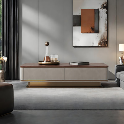 Solid Wood Rectangular Storage Coffee Table