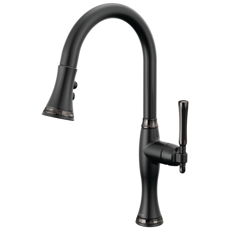 Pull-Down Kitchen Faucet, Matte Black / Brilliance Black Onyx