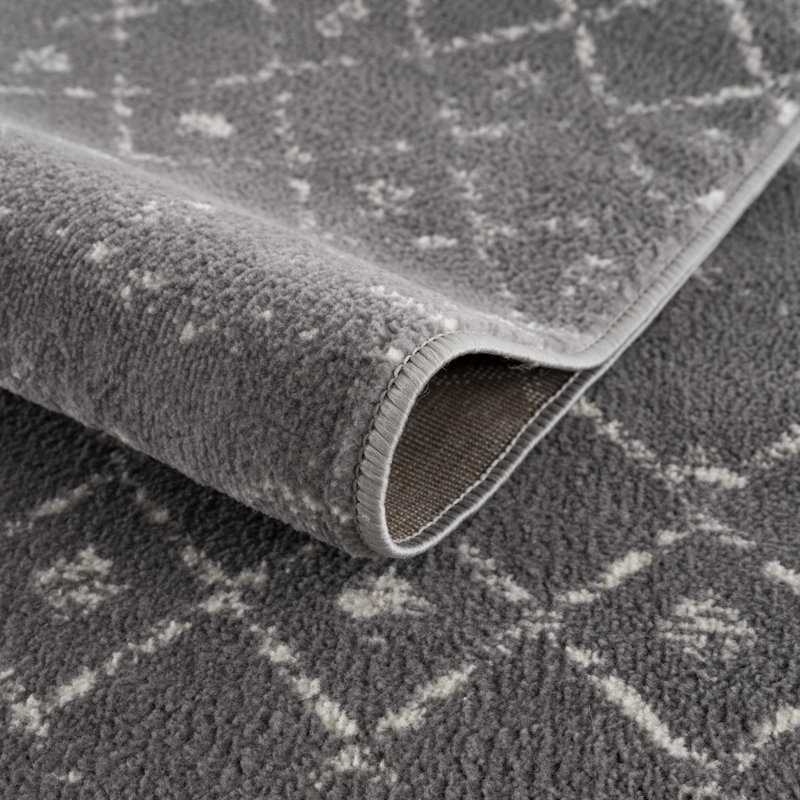 Dounia Southwestern Indoor Rug, Rectangle 2' x 3', Dark Gray