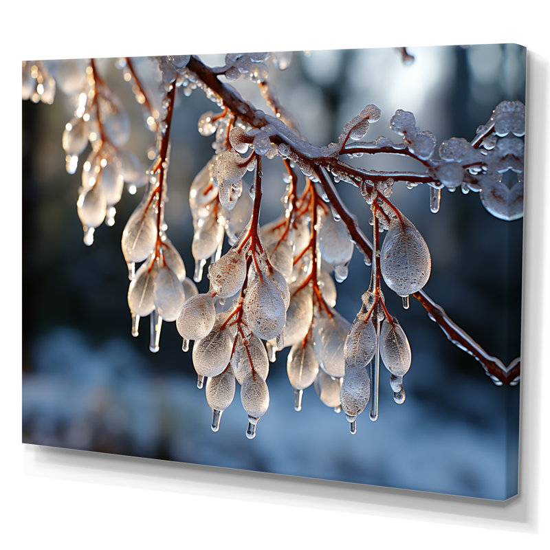" Icy Tree In Winter I ", 30" H x 40" W x 1.5" D, Wrapped Canvas