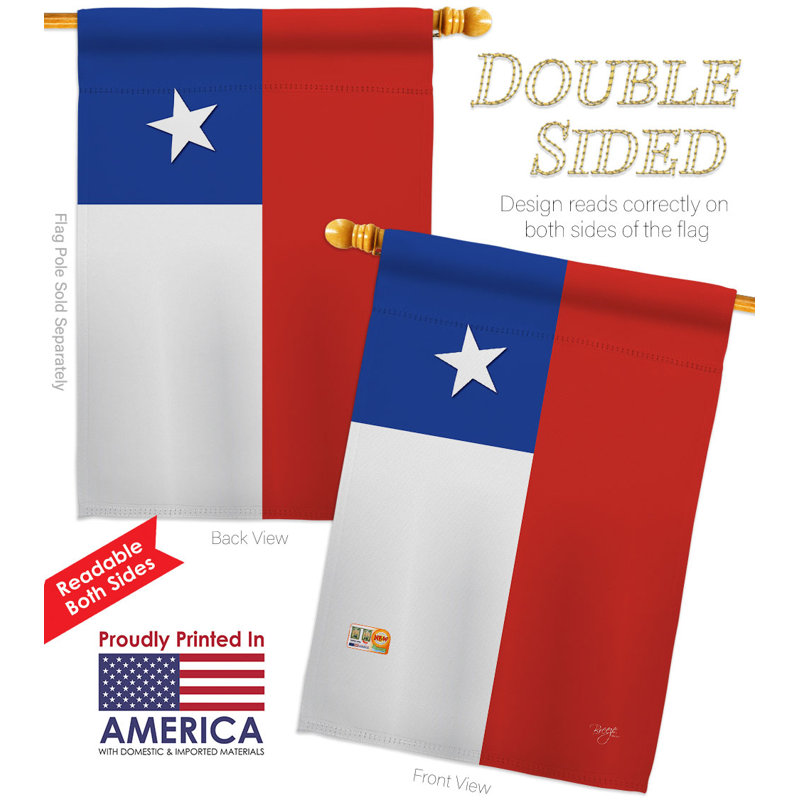 Double Sided 40'' H x 28'' W Polyester House Flag