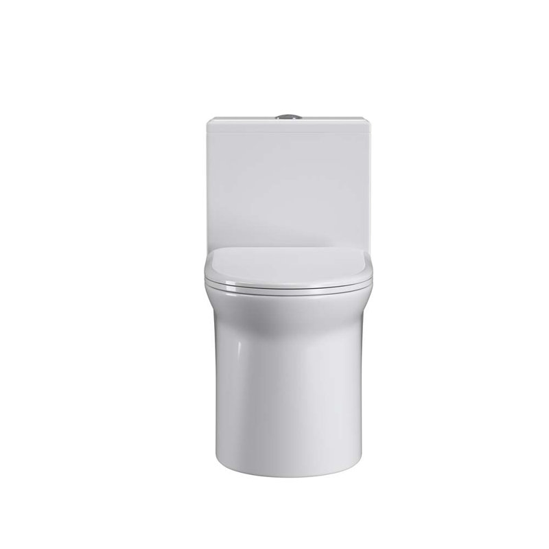 Toilette allongée une pièce 1,6 GPF Tusuton