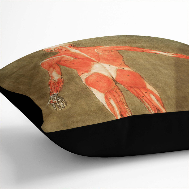 Square Throw Cushion, 55cm H x 55cm W x 20cm D, Black