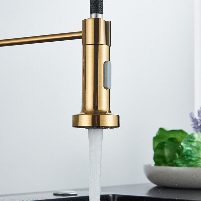 Belfry Kitchen Henleaze Pull Down Kitchen Faucet