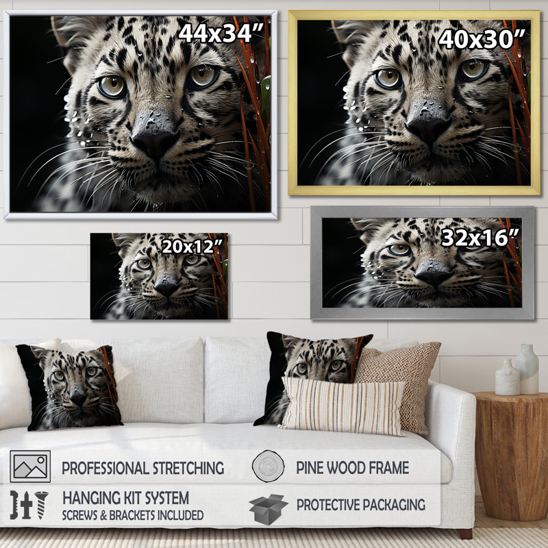 «Jungle Leopard Stalk II», reproduction sur toile, Cadre flottant noir, H 34 po x l 44 po x P 1,5 po