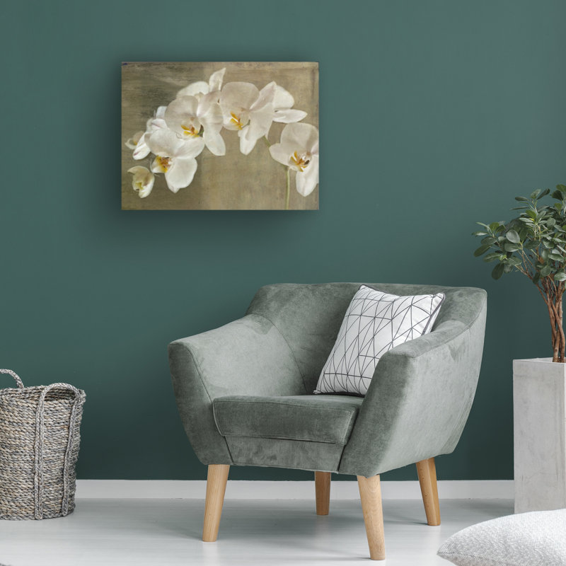 Large Tan and Brown Orchid Canvas Print