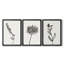 Encre de botanique, croquis à l'encre 9 - Toile tendue avec châssis encadré - 3 pièces-117242883-117242884