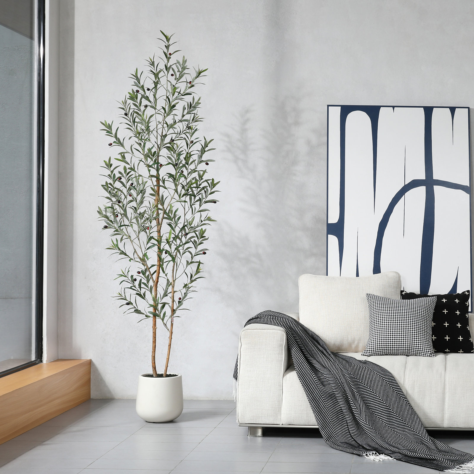 Adcock Olive Tree in Pot, 84" H x 28" W x 28" D