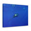 No Frame Print on Canvas-496944297