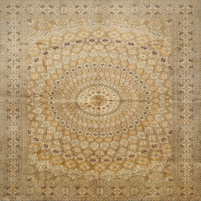 Coleena Oriental Indoor Rug
