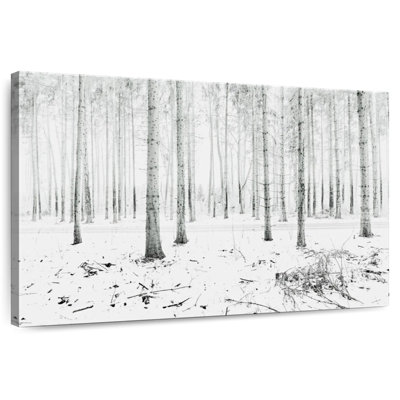 Forêt d'hiver Harnek Langenargen