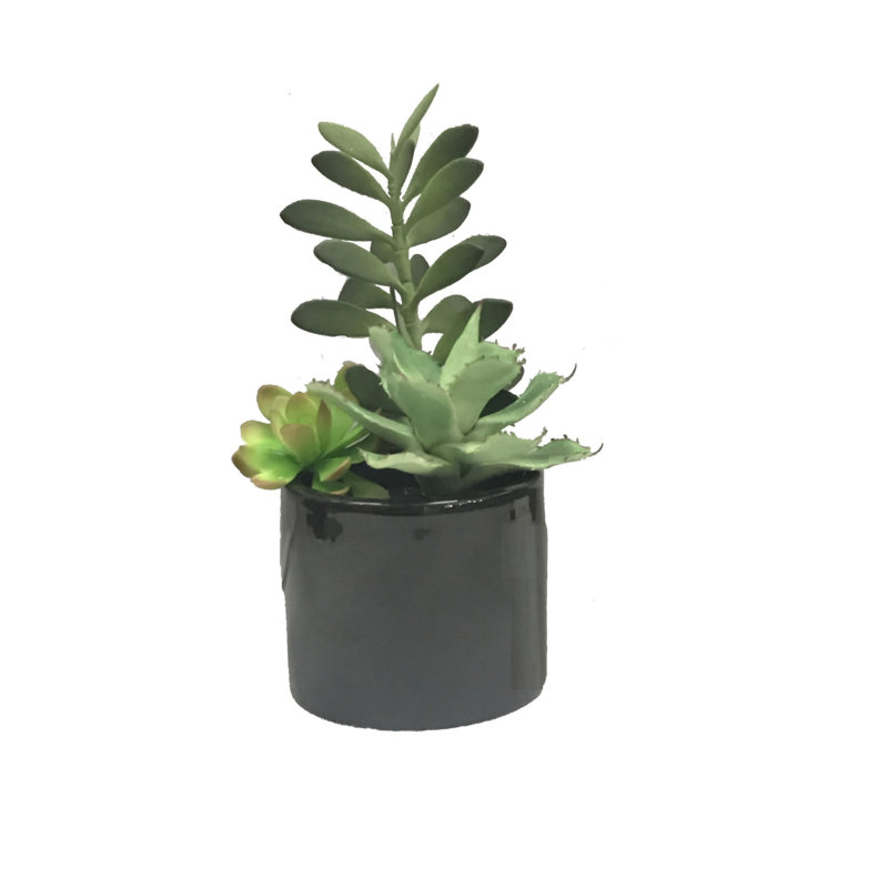 9'' Faux Succulent in Cement Pot