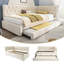 Upholstered Daybed with Trundle-21128052