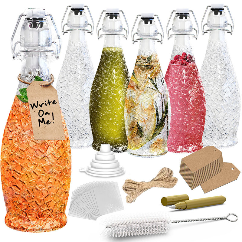  Ensemble de bouteilles en verre 17 oz.