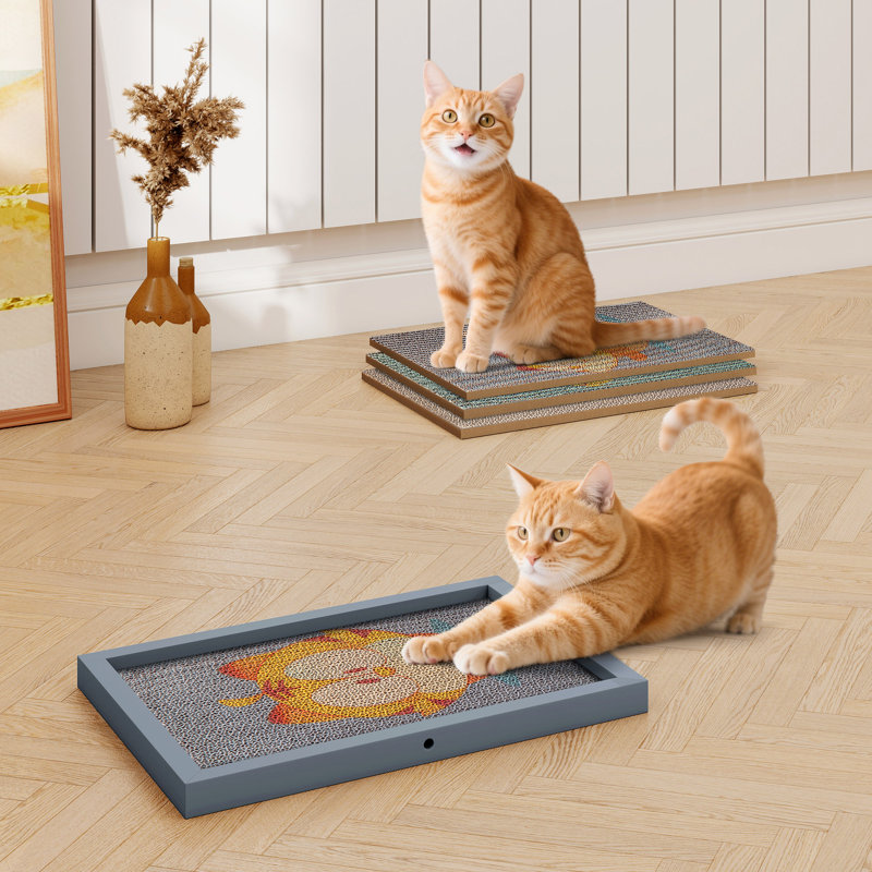 Ensemble de griffoir pour chat avec recharges de coussin remplaçables (7 pièces)