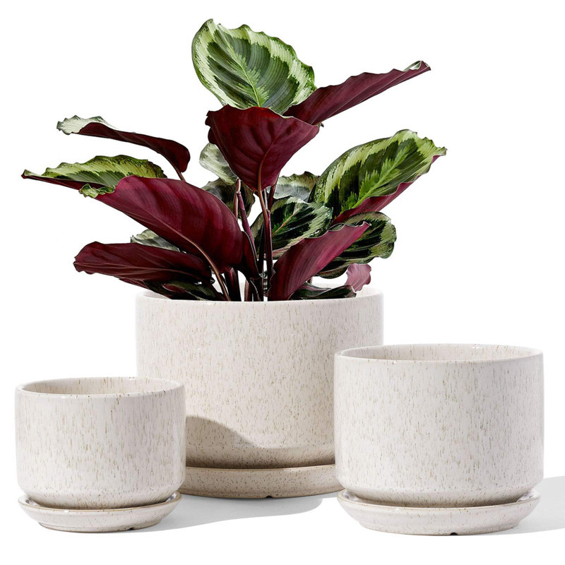 Ceramic Plant Pots with Drainage Hole and Sauce, Beige