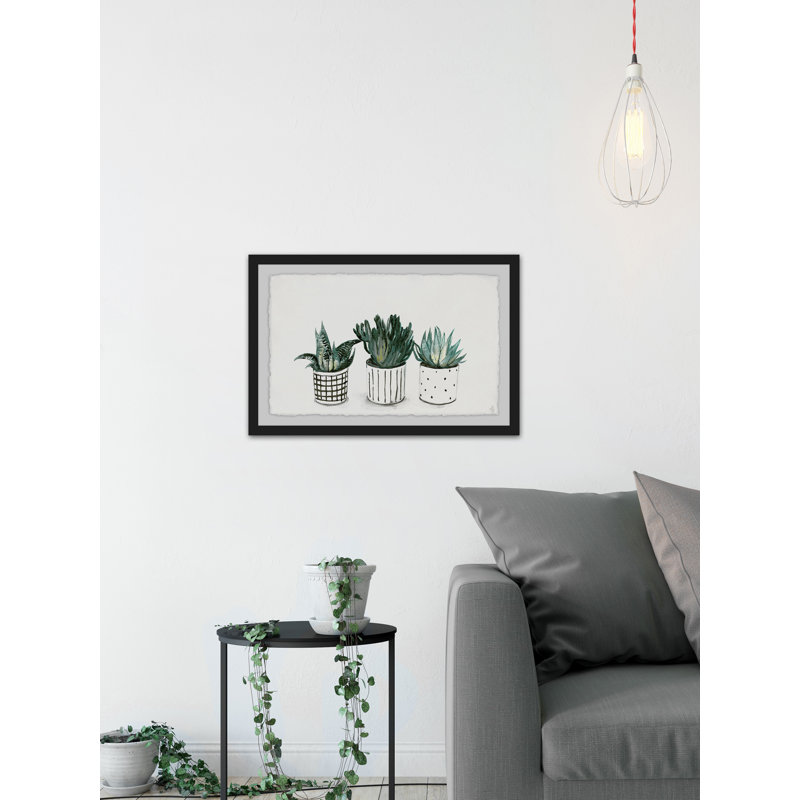 Succulent Mix - Single Picture Frame Painting, 61 cm H x 91 cm W x 3.81 cm D