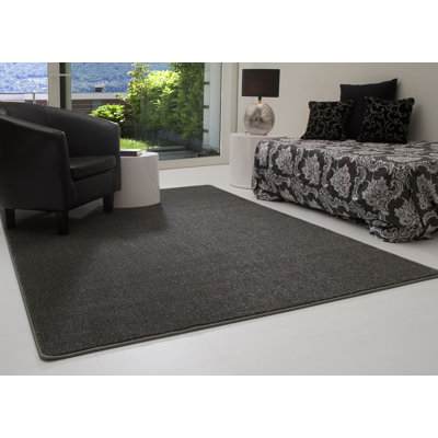 Cardero Solid Colour Area Rug